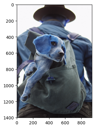 Dog backpack image in BGR color space