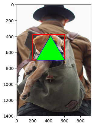 Dog backpack image with filled green triangle