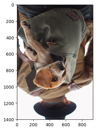 Flipped dog backpack image