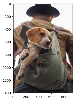 Original dog backpack image