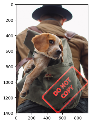 Final Image with Watermark