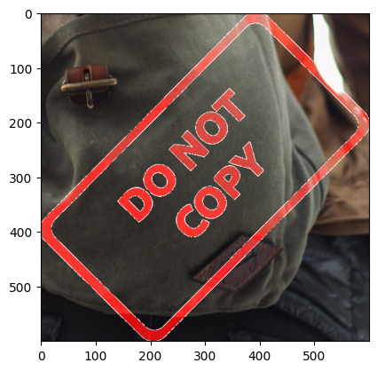 Final ROI with Watermark